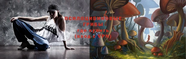 гидропоника Иннополис