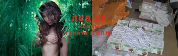 гидропоника Иннополис