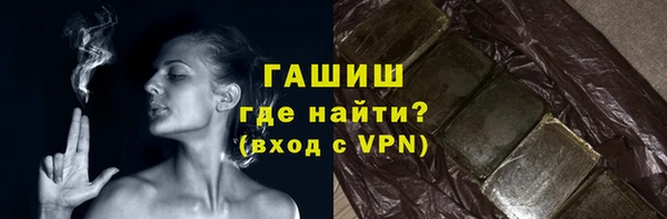 хмурый Болотное