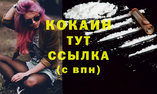 мяу мяу мука Инта